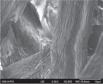 a image fiber with enzyme treatment