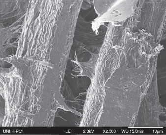 a image fiber without enzyme treatment
