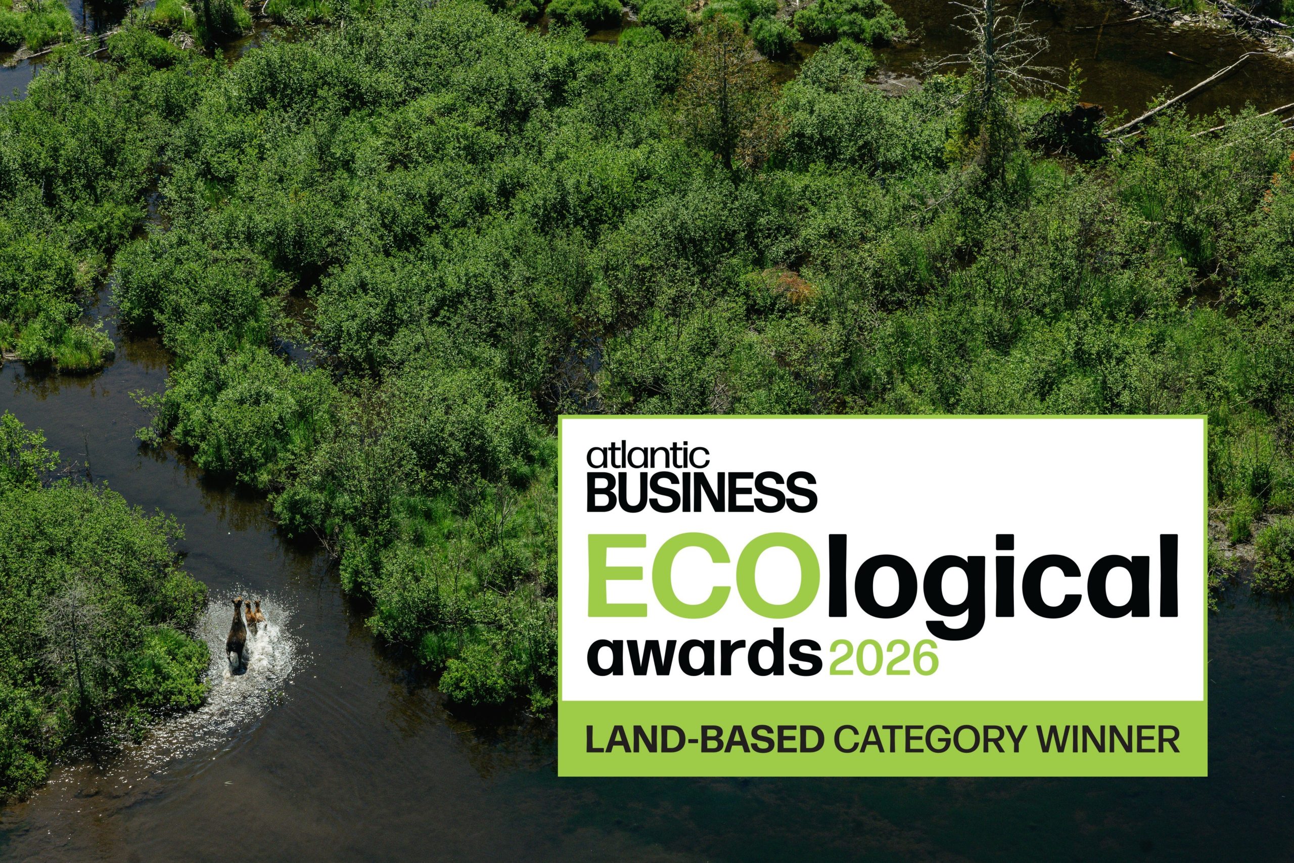 Irving Woodlands ECOlogical Award Conservation Leadership